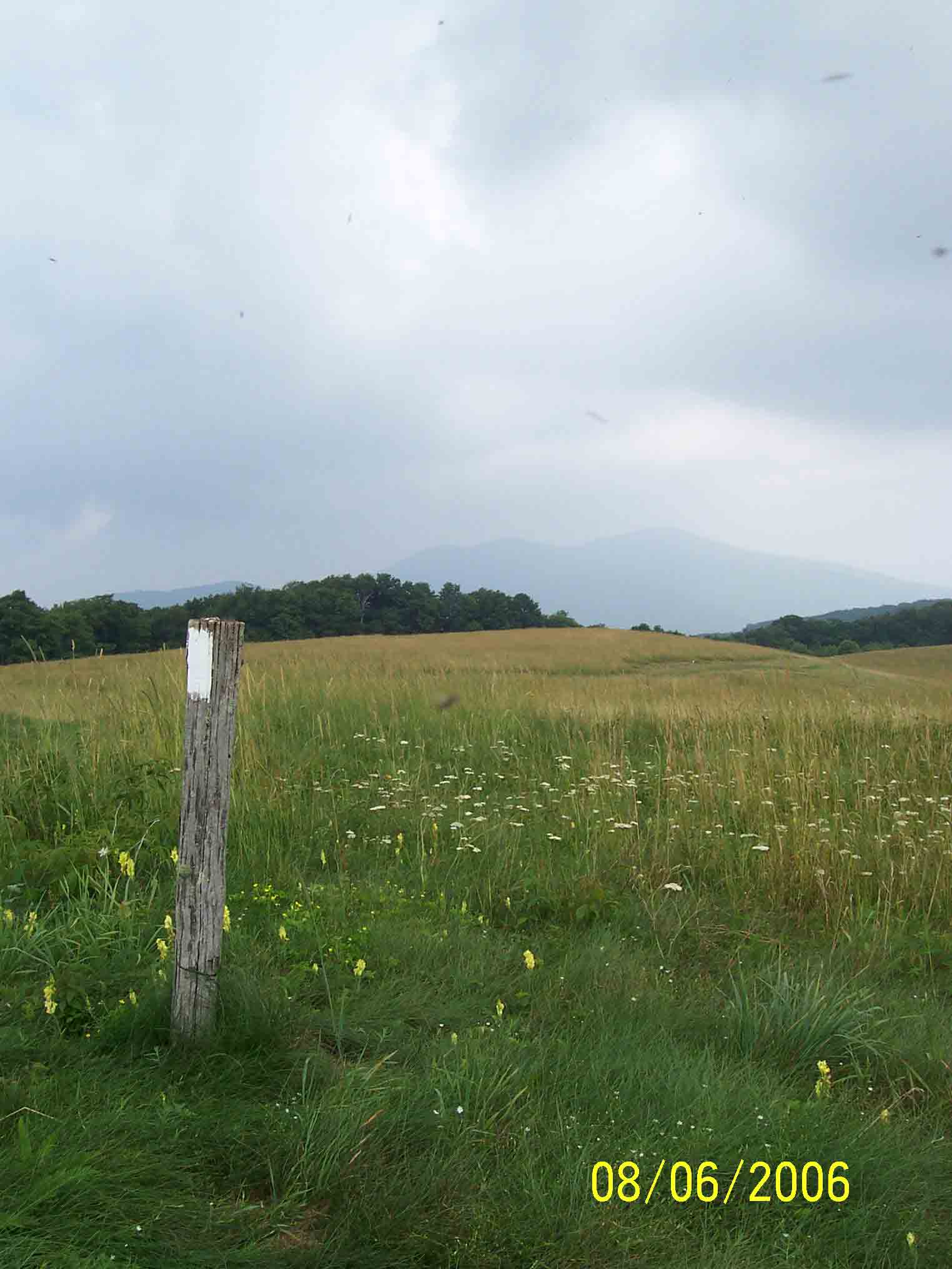 Taken at Max Patch, NC of whiteblaze AT marker during 08/2006. Taken at approx. mm 19.8.  Courtesy ramjet58@msn.com